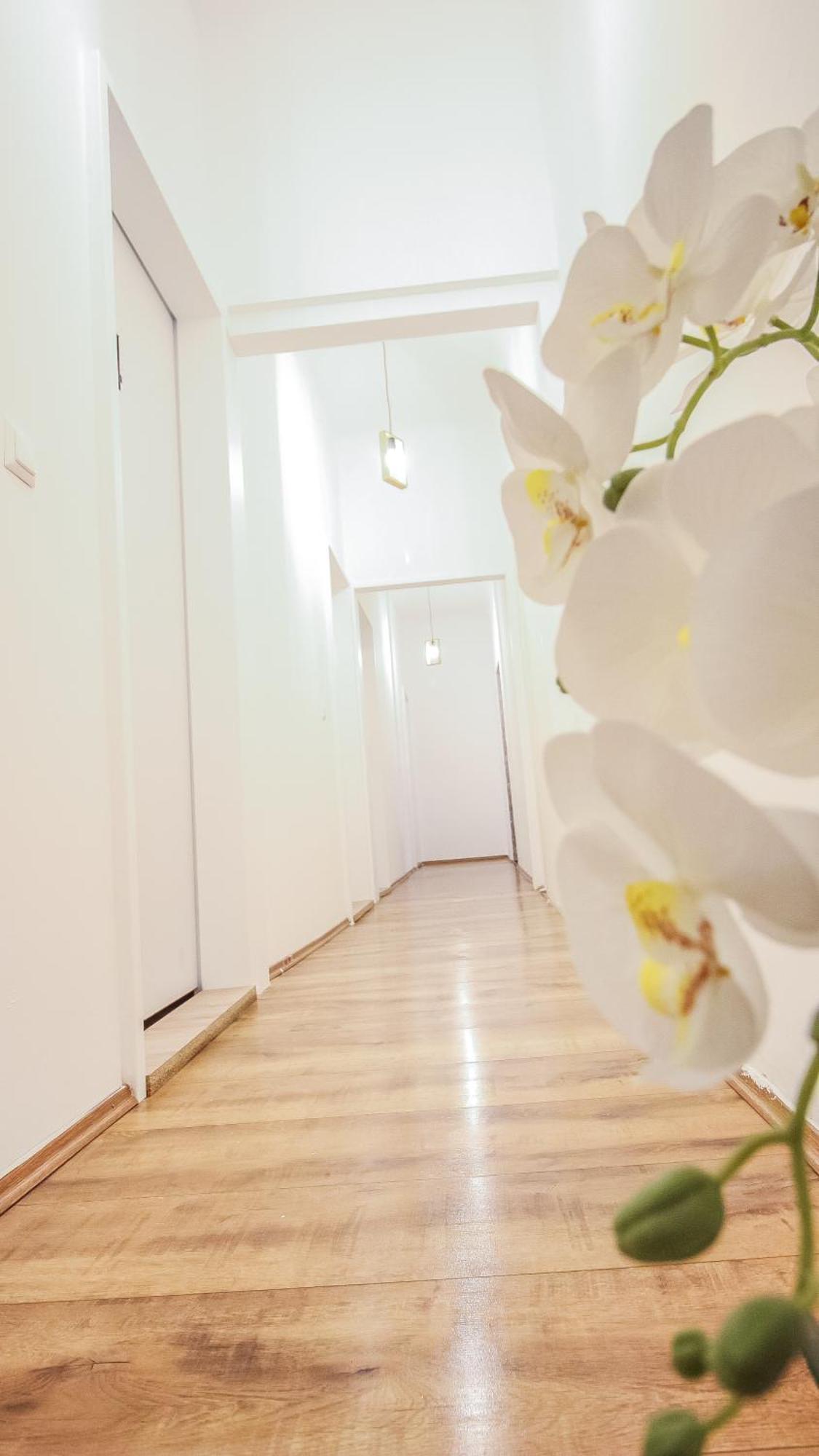 Comfortable Accommodations In The Alterlaa Area Lv6 Wien Exterior foto